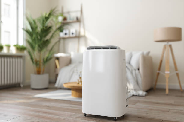 Best HVAC cleaning services  in Black Point Green Point, CA